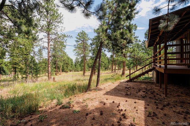 28114 Tresine Drive, Evergreen, CO 80439