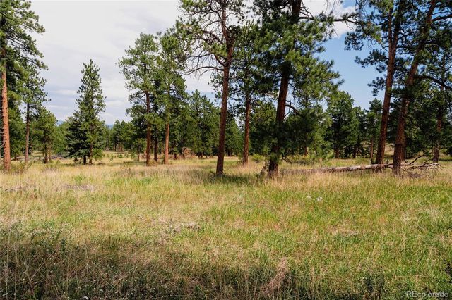 28114 Tresine Drive, Evergreen, CO 80439