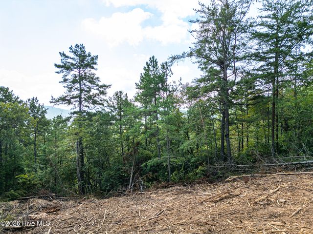 Lot 156 Crossover Lane, Murphy, NC 28906