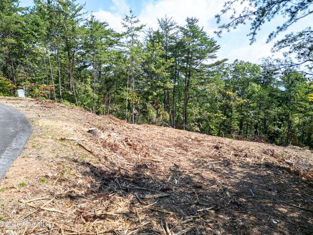 Lot 156 Crossover Lane, Murphy, NC 28906