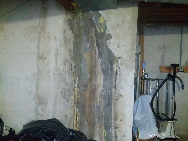 1709 S Highland Avenue, Lombard, IL 60148