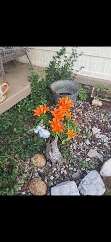 124 N Richardson Drive, Somerset, KY 42501