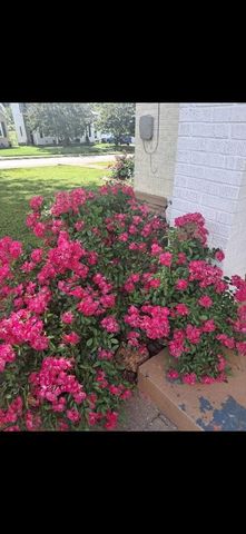 124 N Richardson Drive, Somerset, KY 42501