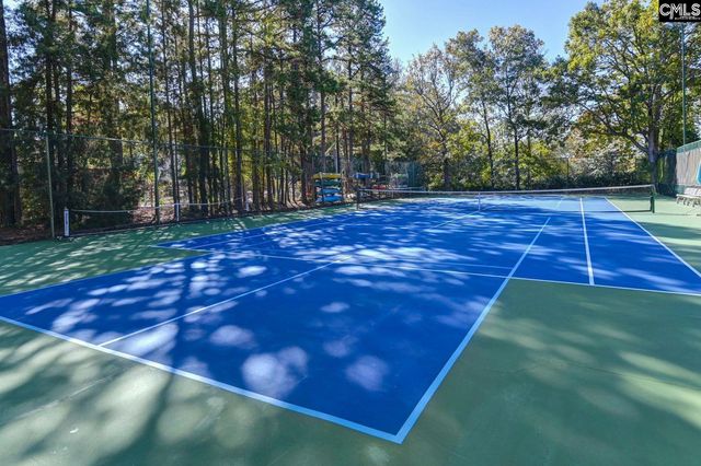 1441 Old Chapin Road 721, Lexington, SC 29072