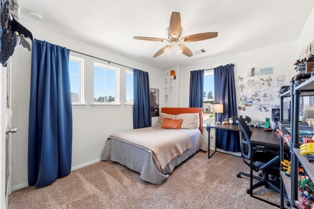 20062 Parkland Gates Drive, Montgomery, TX 77316