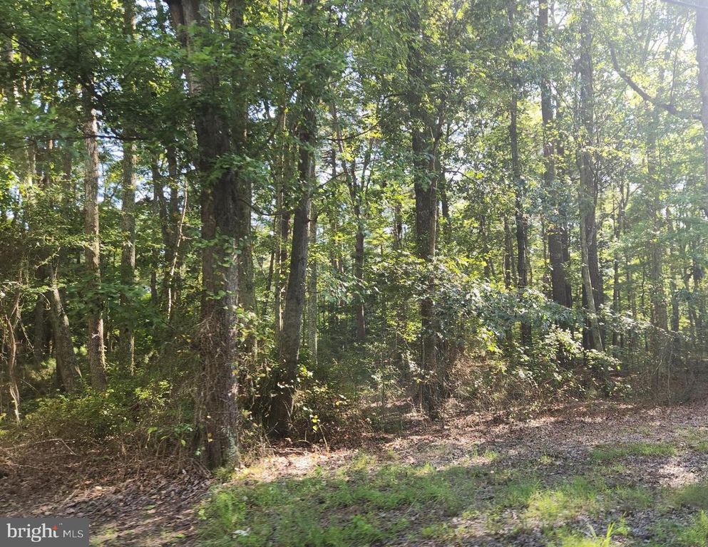 FRESH POND NECK RD, Ridge, MD 20680