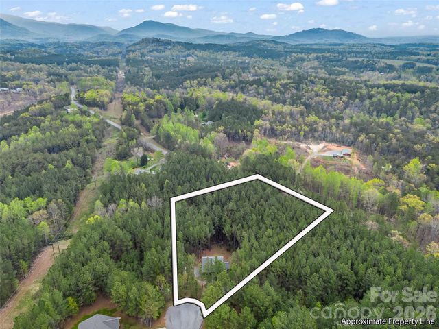 120 Ashley Court, Mill Spring, NC 28756