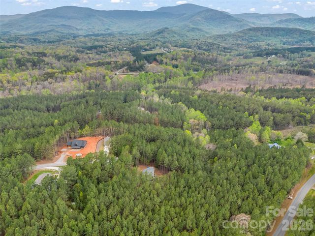 120 Ashley Court, Mill Spring, NC 28756
