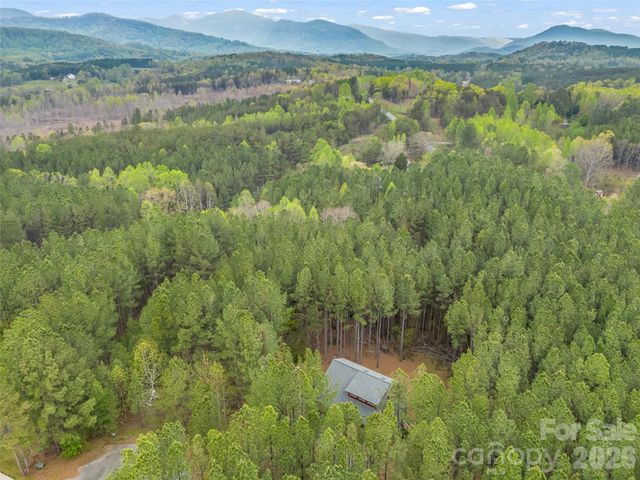 120 Ashley Court, Mill Spring, NC 28756