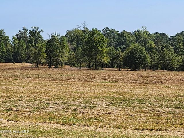 240 Deppe Farm Road, Maysville, NC 28555