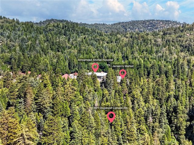 501 Dogwood Canyon, Blue Jay, CA 92317