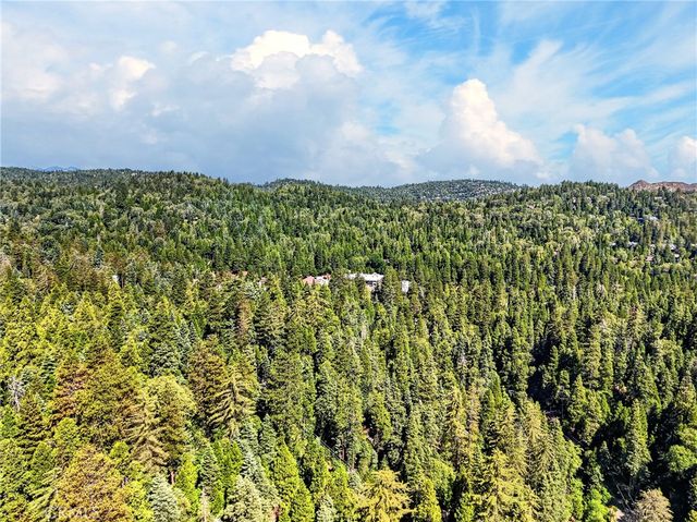 501 Dogwood Canyon, Blue Jay, CA 92317