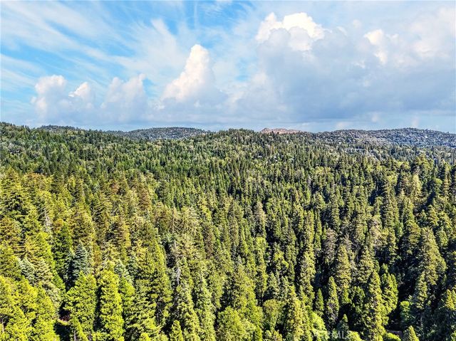 501 Dogwood Canyon, Blue Jay, CA 92317