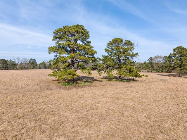 1 Fm 328, Huntington, TX 75949