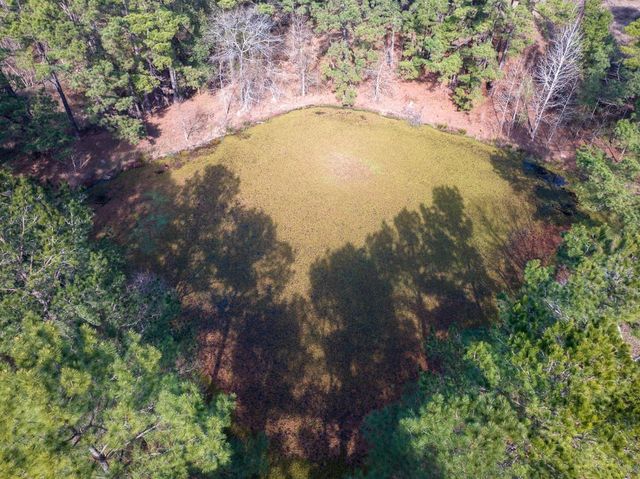 1 Fm 328, Huntington, TX 75949