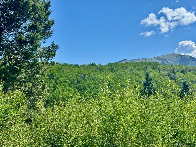 Lot 5850 Richardson Road, Fort Garland, CO 81152
