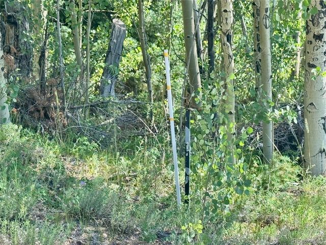 Lot 5850 Richardson Road, Fort Garland, CO 81152