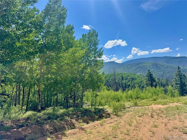 Lot 5850 Richardson Road, Fort Garland, CO 81152
