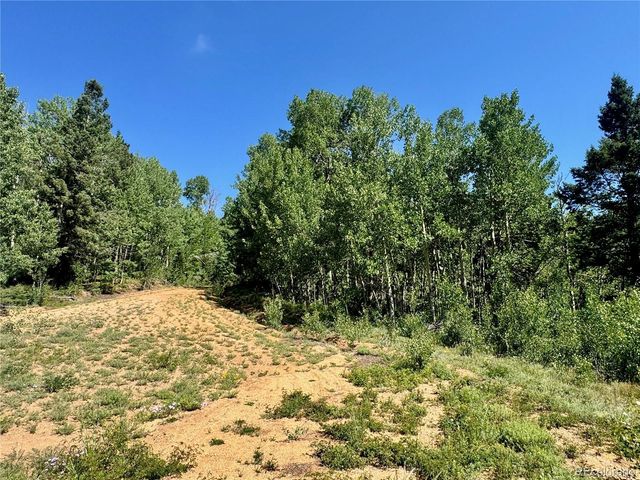 Lot 5850 Richardson Road, Fort Garland, CO 81152