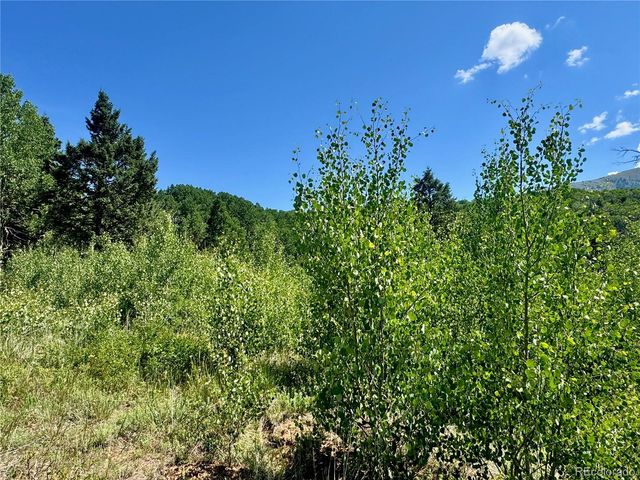 Lot 5850 Richardson Road, Fort Garland, CO 81152