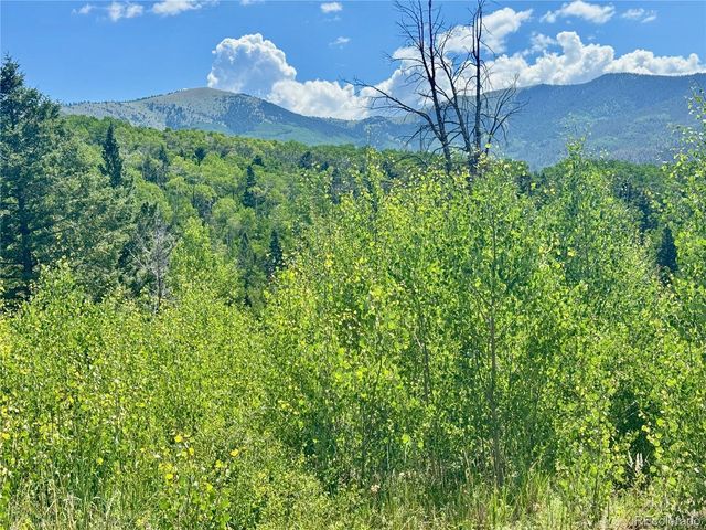 Lot 5850 Richardson Road, Fort Garland, CO 81152