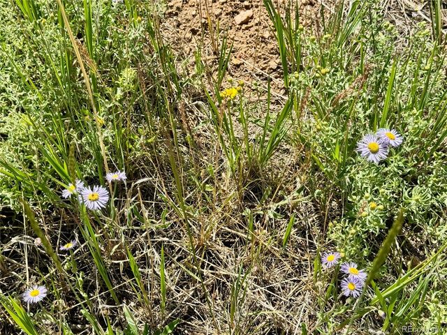 Lot 5850 Richardson Road, Fort Garland, CO 81152