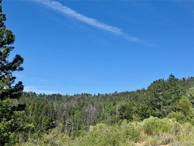 Lot 5850 Richardson Road, Fort Garland, CO 81152