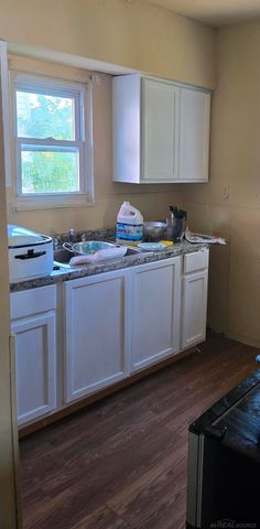 19235 LAMONT Street, Detroit, MI 48234