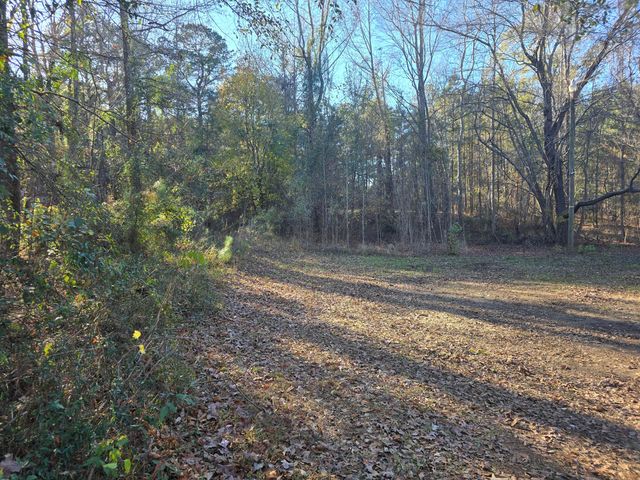 2630 Ben Sanders Road, Dalzell, SC 29040