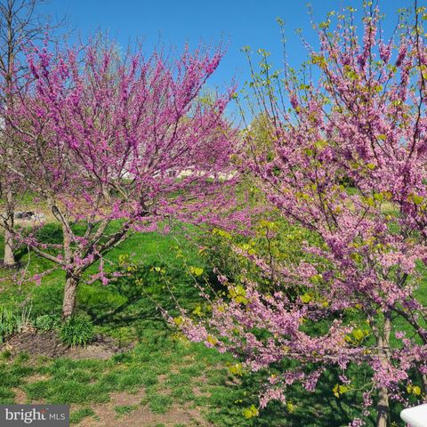 420 WINTERBERRY DR, Middletown, DE 19709