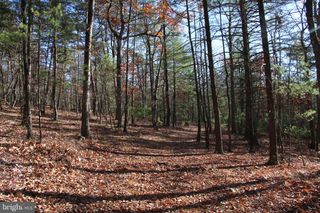 ROLLY ROAD, Mount Jackson, VA 22842