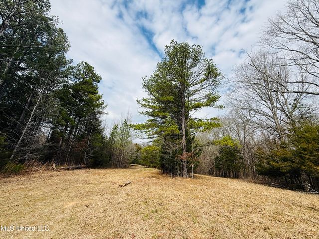 Race Track Road, West, MS 39192