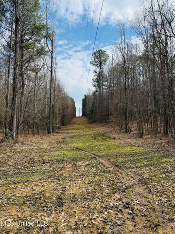 Race Track Road, West, MS 39192
