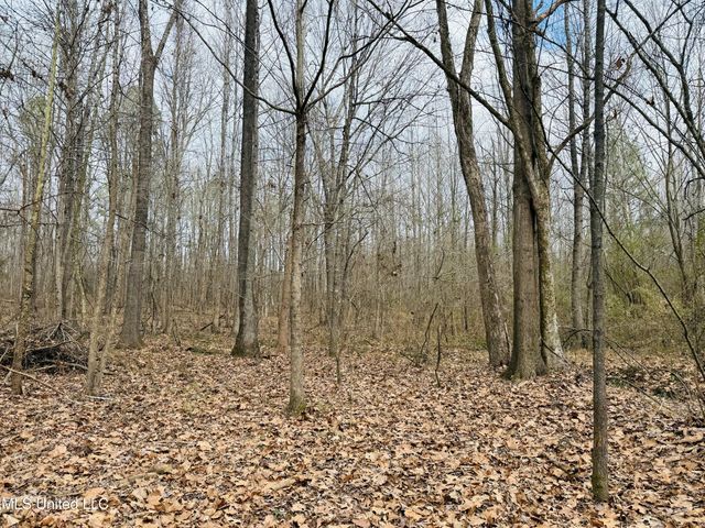 Race Track Road, West, MS 39192