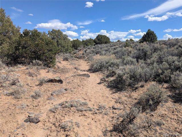 Lot 2-3 Mesitas Road, San Luis, CO 81152