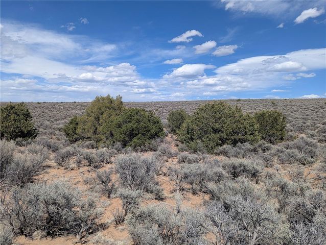 Lot 2-3 Mesitas Road, San Luis, CO 81152