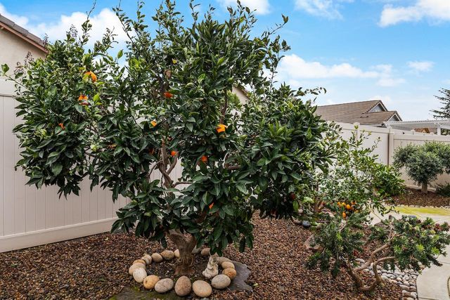 2720 Maple Grove Ave, Manteca, CA 95336