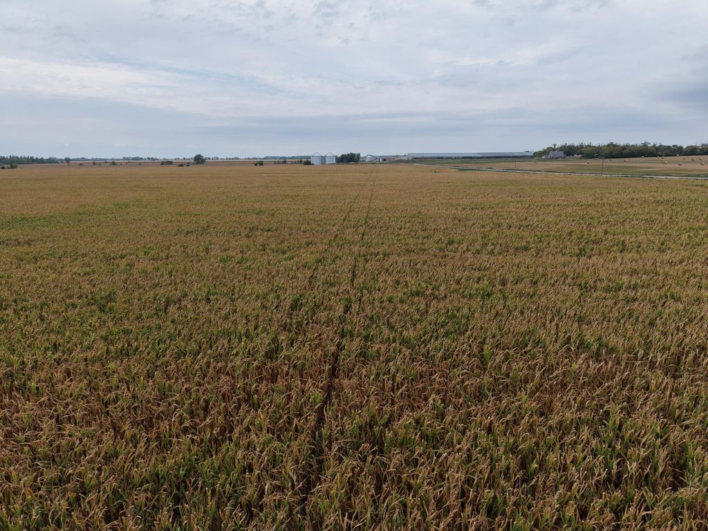 TBD County Rd 39, Borup, MN 56519 — photo 2