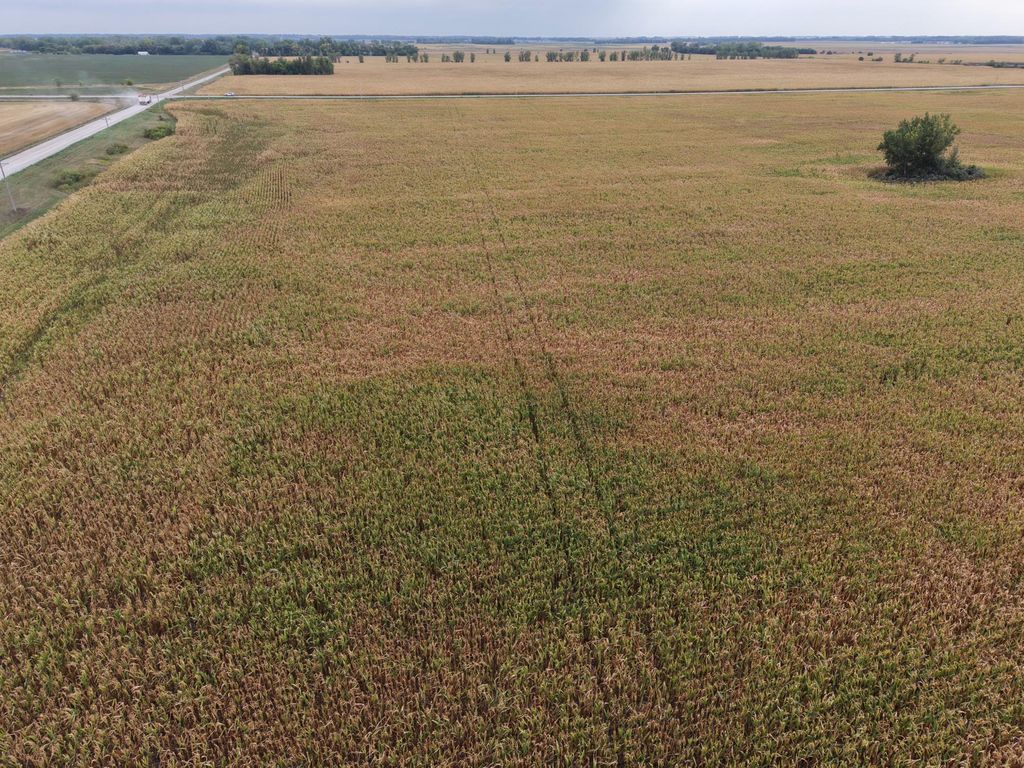 TBD County Rd 39, Borup, MN 56519 — photo 3