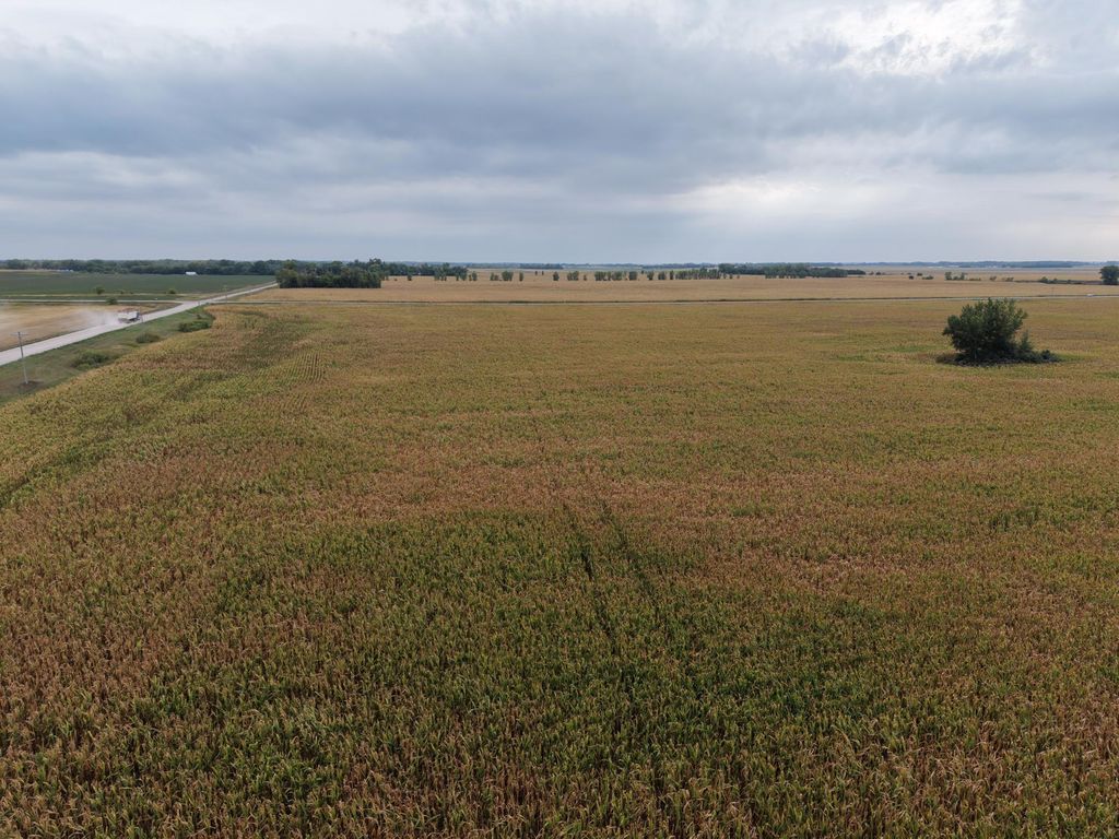 TBD County Rd 39, Borup, MN 56519 — photo 4