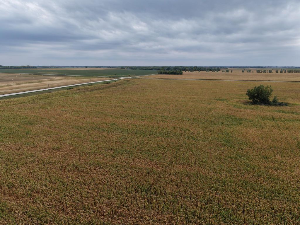 TBD County Rd 39, Borup, MN 56519 — photo 5