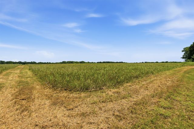 421 Chambers Creek Trail, Alvarado, TX 76009