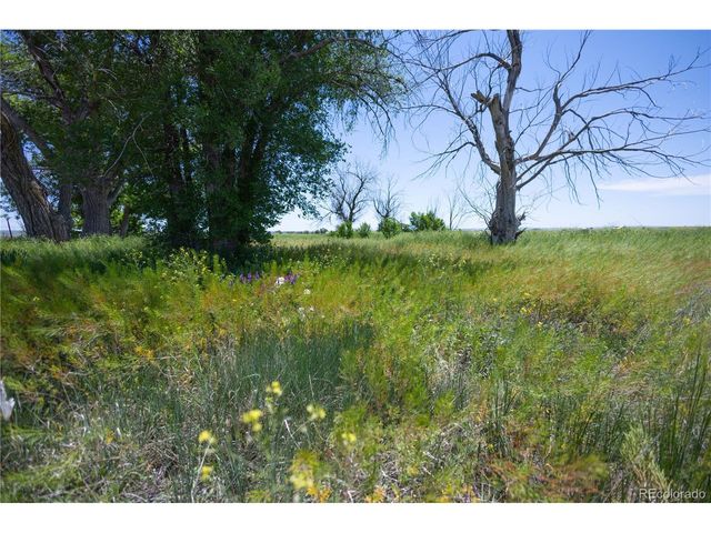 23655 E Garrett Rd, Calhan, CO 80808