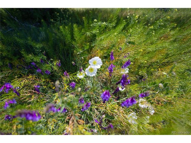 23655 E Garrett Rd, Calhan, CO 80808