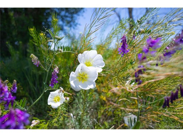 23655 E Garrett Rd, Calhan, CO 80808