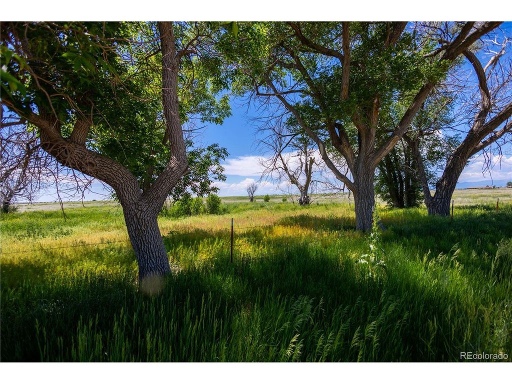 23655 E Garrett Rd, Calhan, CO 80808