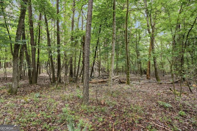 0 Tower, Cumming, GA 30040