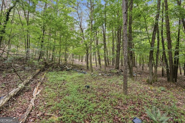 0 Tower, Cumming, GA 30040