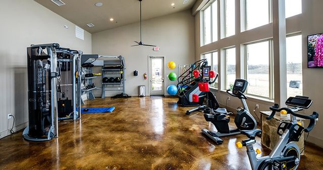 2036 Olivereta Drive, Little Elm, TX 75068