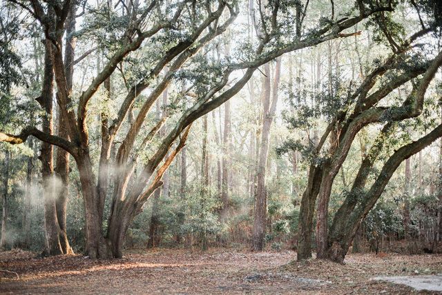 3480 Johan Boulevard, Johns Island, SC 29455